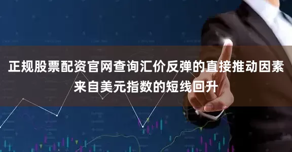 正规股票配资官网查询汇价反弹的直接推动因素来自美元指数的短线回升