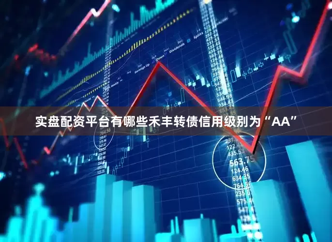 实盘配资平台有哪些禾丰转债信用级别为“AA”
