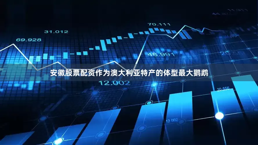 安徽股票配资作为澳大利亚特产的体型最大鹦鹉