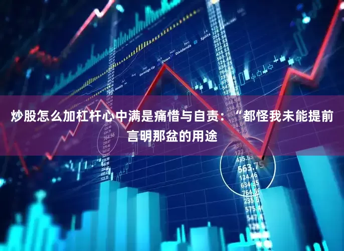 炒股怎么加杠杆心中满是痛惜与自责：“都怪我未能提前言明那盆的用途