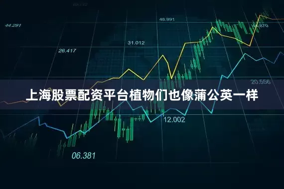 上海股票配资平台植物们也像蒲公英一样